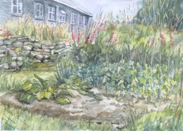 Vegetable garden in Wales