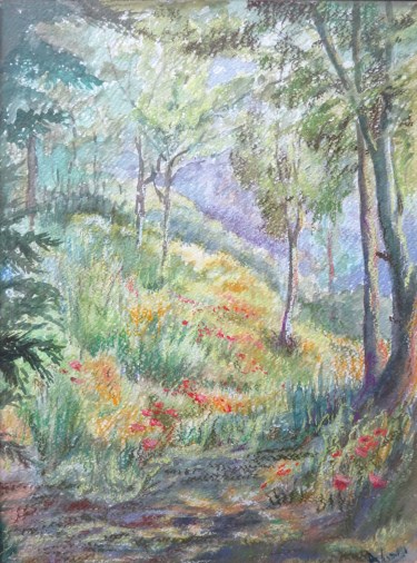 The far end of my garden