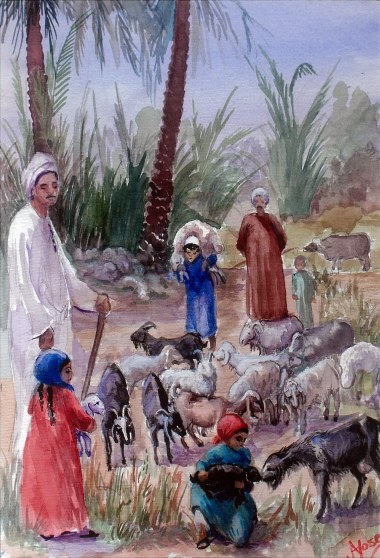 Caring for the animals