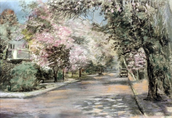 Camel's foot blossom in Maadi